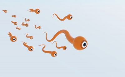 精巣