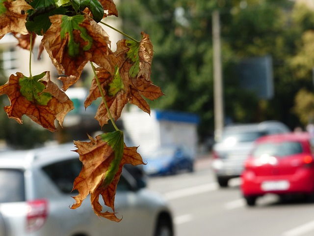 大気汚染