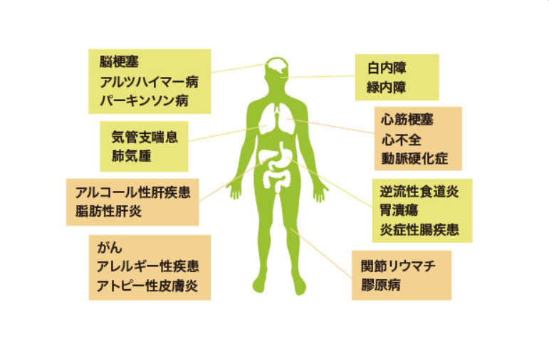 酸化ストレス